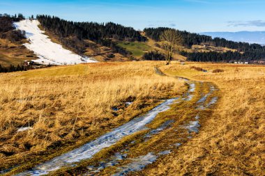 toprak yol alanlar arasında