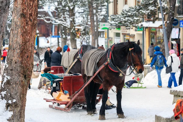 kızak için harnessed at