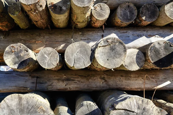 Dřevěné špalky, které jsou uloženy v zásobníku — Stock fotografie