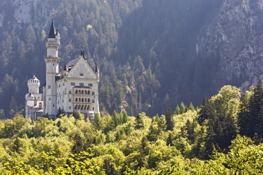 Neuschwanstein Şatosu uzaktan