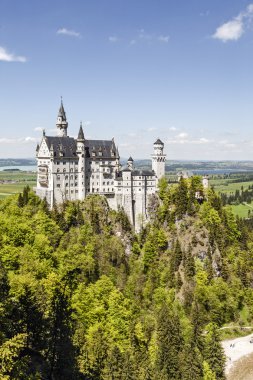 Neuschwanstein Şatosu orman yukarıda