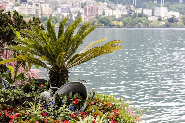 Natureza adornam o passeio em Montreux — Fotografia de Stock
