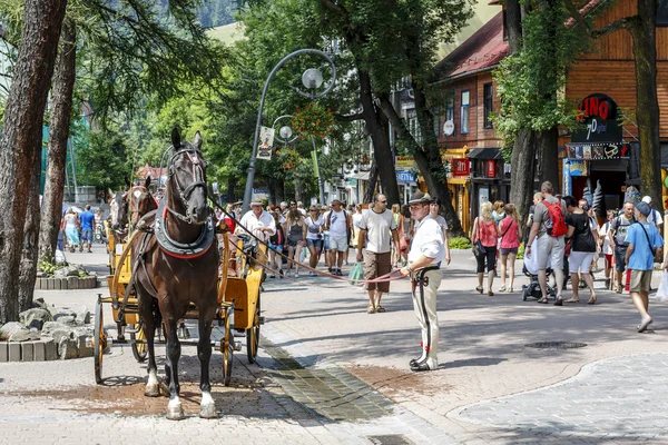 Arabacı krupowki onun atı ile str — Stok fotoğraf