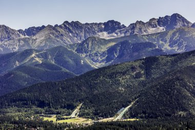 Zakopane yaz aylarında kayak atlar