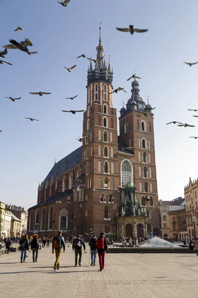 St. Mary Kilisesi Krakow 'da. — Stok fotoğraf