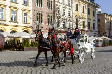 Atlı arabası Krakow