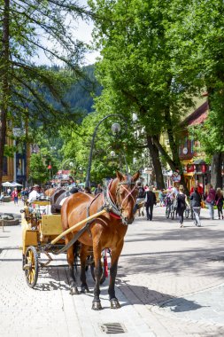 Zakopane, krupowki sokak at
