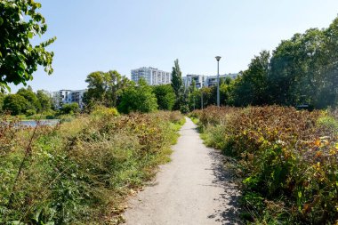 Polonya 'nın Varşova bölgesindeki Goclaw yerleşim bölgesinin ortasındaki doğal bir park alanıdır..