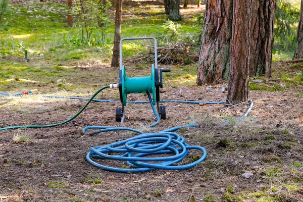 Modrá Zahradní Hadice Odvíjí Své Skladovací Cívky Leží Zemi Lese — Stock fotografie