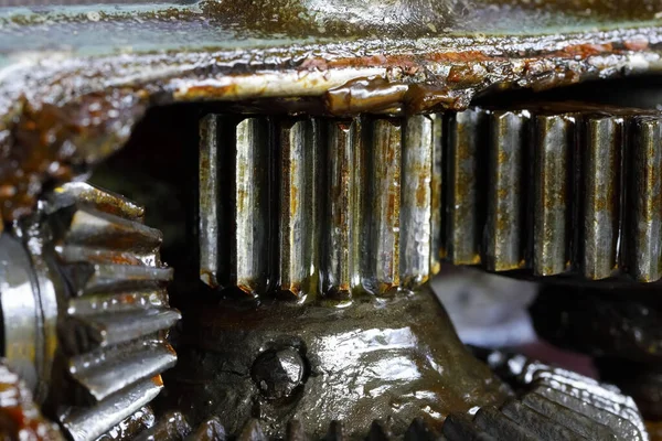 Graxa Pode Ser Vista Dentro Unidade Rodas Dentadas Esta Uma — Fotografia de Stock