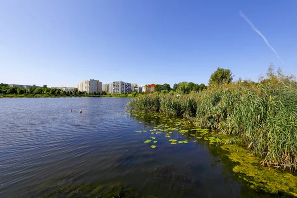 Jezero Rostlinami Břehu Přírodní Park Uprostřed Goclaw Bytové Čtvrti Varšavě — Stock fotografie