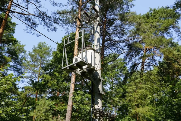多くの木々の間の森の中には ポールとケーブルのトランスが見えます この送電線は ウィルガと呼ばれる村の近くのポーランドの森を通っています — ストック写真