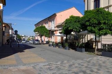 Lublin, Polonya - 10 Eylül 2021: Apartman evleri arasında şehir sokağı var. Binaların önünde ağaçlar var ve diğer bitkiler kaldırımdaki çömleklere yerleştiriliyor..