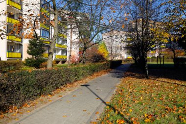 Sonbahar yeşili arasında dar bir kaldırım