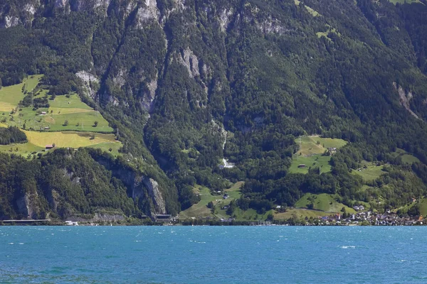 Mountain Forest Slope Detail Swiss Alps Water Lake Lucerne Also — Stock Photo, Image