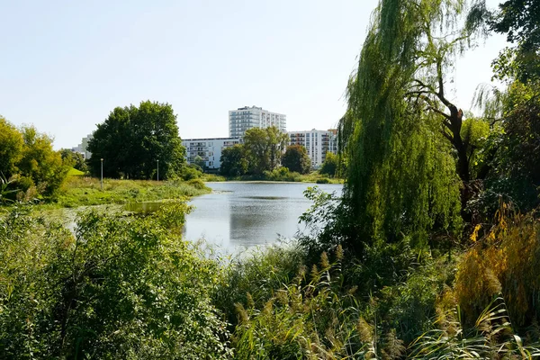 Озеро Рослинами Березі Природним Парком Посередині Житлового Району Гобло Варшаві — стокове фото