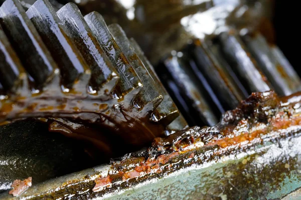 Worn Grease Can Seen Cog Wheels Unit Partial View Transmission — Stock Photo, Image