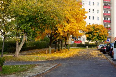 Varşova, Polonya - 20 Ekim 2021: Varşova 'nın Goclaw semtindeki ağaçlar sonbaharda yeşilden sarıya ve kırmızıya dönüşürler.