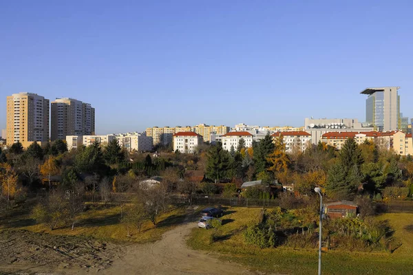 Warsaw Poland November 2021 Vast Areas Covered Trees Shrubs Adjacent — Stock Photo, Image