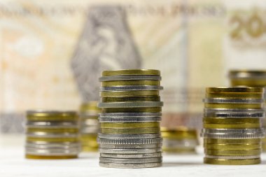 Bir grup Polonya sikkesi yan yana dizilmiş banknotlar, PLN para birimi, Polonya zlotisi