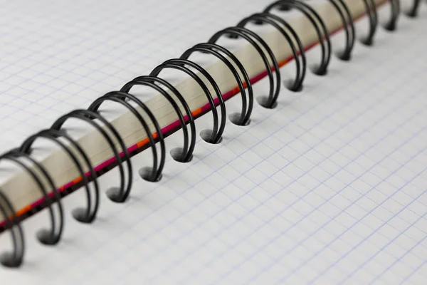 One Checkered School Notebook Open Notes Its Pages — Stock Photo, Image