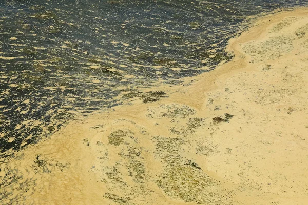 Una Capa Origen Desconocido Contaminantes Claramente Visible Superficie Del Agua — Foto de Stock