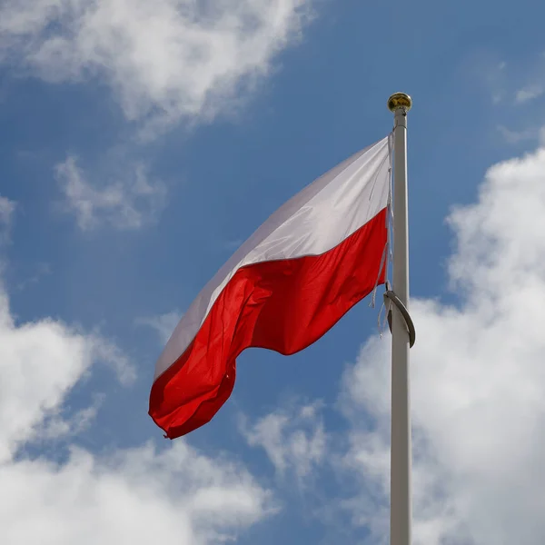 Bandeira Vermelha Branca Polónia Agita Vento Num Dia Ventoso — Fotografia de Stock