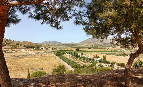 Uitzicht op het oude boerderij dorp "la canalosa" in alicante, Spanje — Stockfoto