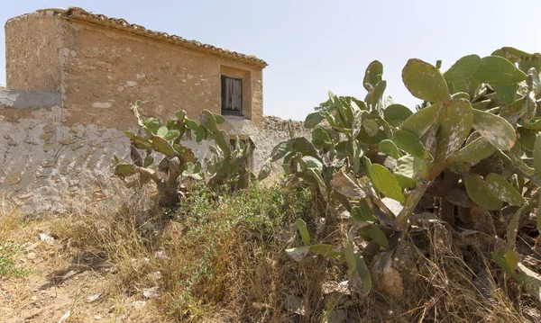 Oude boerderij op het platteland droog — Stockfoto