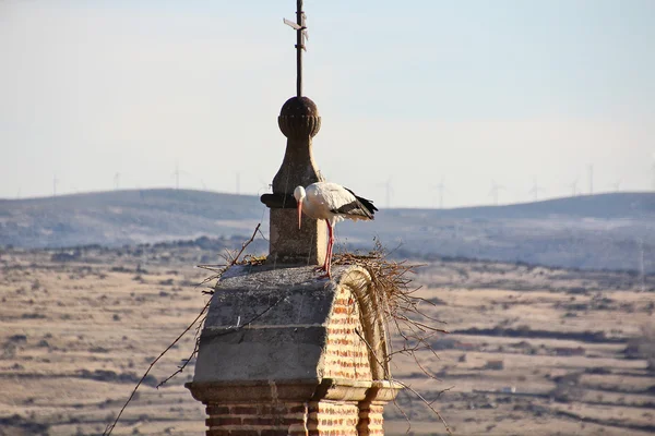 Stork making a nest on top of a steeple — Stock Photo, Image