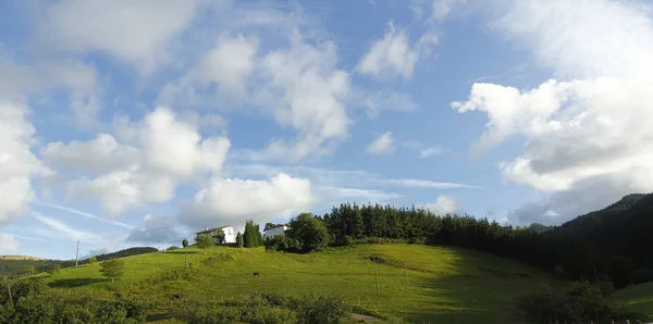 Зелений луг навесні з блакитним небом і білими хмарами — стокове фото