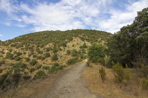 Small path on the side of a mountain — Stock Photo, Image