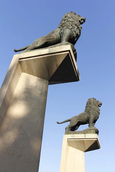 Üzerinde büyük kaideleri aslan heykelleri — Stok fotoğraf