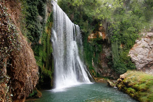 Gran cascada espectacular en un bosque dentro —  Fotos de Stock