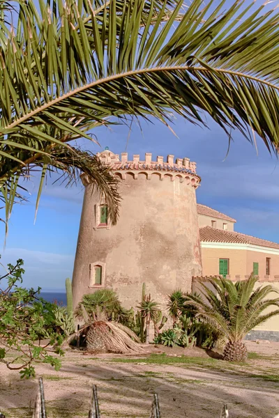 The home of the Torre de la Horadada 1880 in the town of Pilar d — Stock Photo, Image