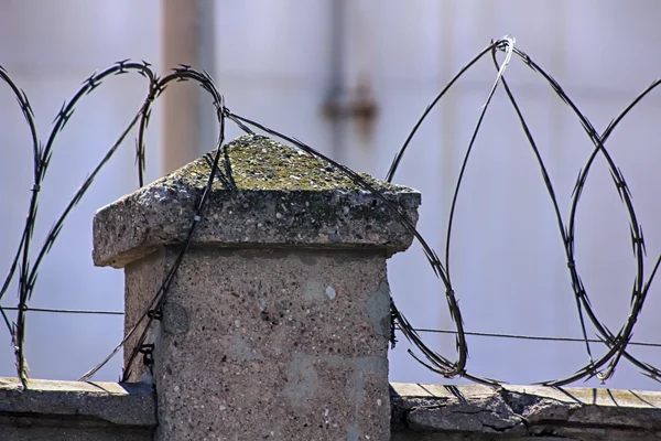 Betonfal, szögesdrót, a fenti — Stock Fotó