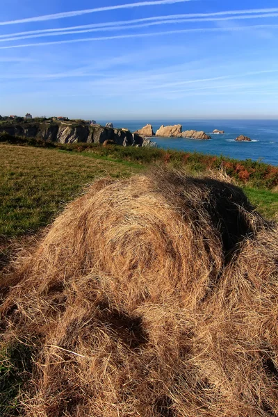 Deniz kenarında sarp bir çayır üzerinde saman balya — Stok fotoğraf