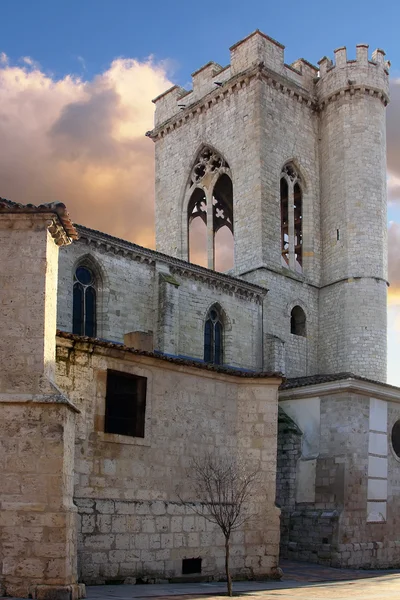Historiska och gamla katedralen i palencia, Spanien — Stockfoto