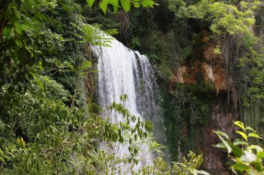 harika muhteşem şelale içinde bir orman içinde
