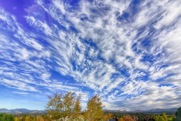 푸른 하늘과 아름 다운 흰 구름과 노란 나무 꼭대기 — 스톡 사진
