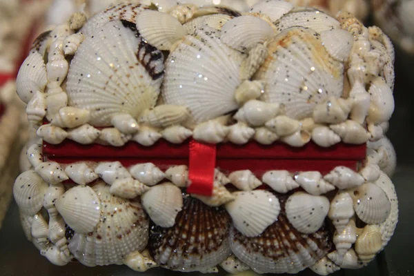Box lined with decorative shells — Stock Photo, Image