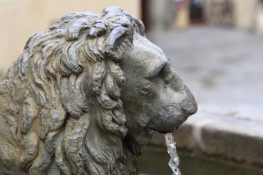 ağız yoluyla su bırakmadan leon bronz fıskiye şeklindeki