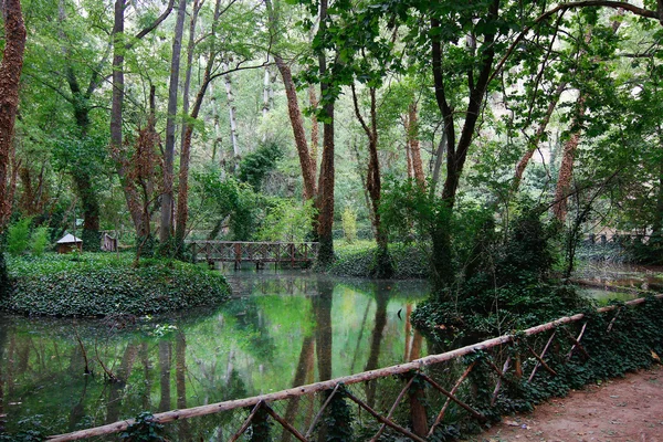 Lago tranquilo en el interior de un bosque con hermoso reflejo — Foto de Stock