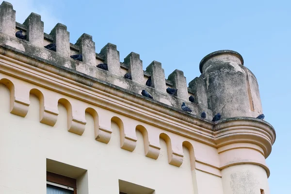 Edificio de repisa con palomas —  Fotos de Stock