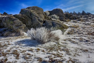 dağların karlı manzarada