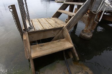 büyük bir palmiye ağacı yakın çekim