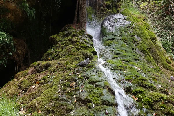 Wasserfälle steigen zwischen den Felsen hinab und kochen sie auf — Stockfoto