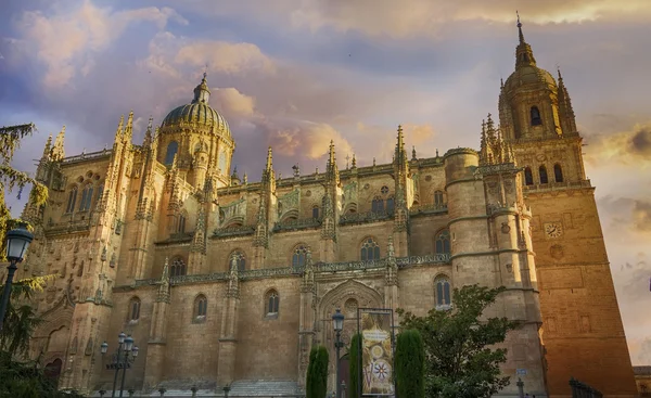 Katedralen i salamanca, Spanien — Stockfoto