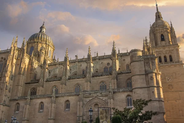 Kathedraal van salamanca, Spanje — Stockfoto