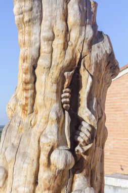 bir ağacın içinde çıkan adam heykeli